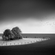 Illustration for article titled 23 Dark, Dark Photographs